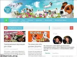 Sites similar to drtclub.ru