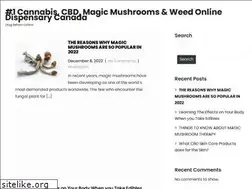 Sites similar to drugreform.org