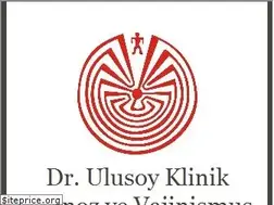 Sites similar to drulusoy.com