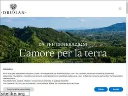 Sites similar to drusian.it