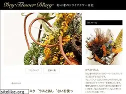 Sites similar to dry-flowers.net