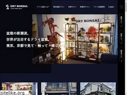 Sites similar to drybonsai.art