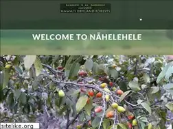 Sites similar to drylandforest.org