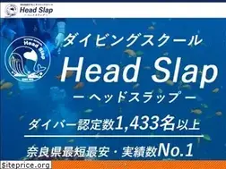 Sites similar to ds-headslap.com