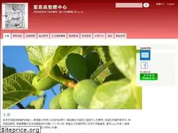 Sites similar to dsbiblecentre.org