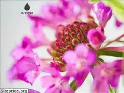 Sites similar to dstyle-flower.com