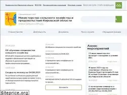 Sites similar to dsx-kirov.ru