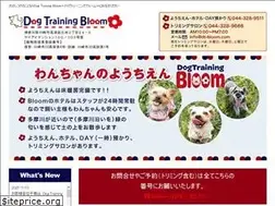 Sites similar to dt-bloom.com