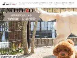 Sites similar to dtwh.info