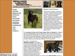 Sites similar to duckdog.com