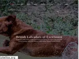 Sites similar to duckhillkennels.com