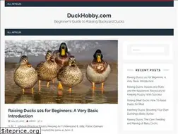 Sites similar to duckhobby.com