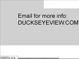 Sites similar to duckseyeview.com
