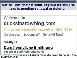 Sites similar to ducksinarowblog.com