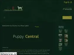 Sites similar to ducksinarowlabs.com