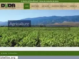 Sites similar to duda.com