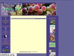 Sites similar to dudu.narod.ru