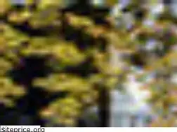 Sites similar to duebs.de