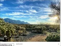 Sites similar to duffybrook.com