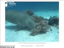 Sites similar to dugongconservation.org