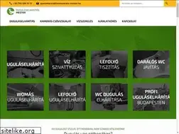 Sites similar to dugulaselharitas-mester.hu