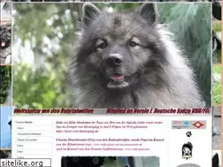 Sites similar to duke-falco.de