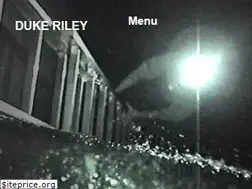 Sites similar to dukeriley.info