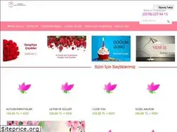 Sites similar to dumanlarcicekcilik.com