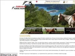 Sites similar to dumanlarhorseriding.com