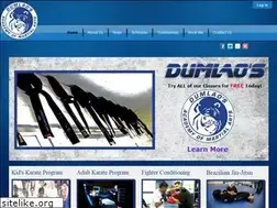 Sites similar to dumlaomartialarts.com