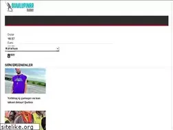Sites similar to dumlupinarhaber.com