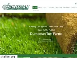 Sites similar to duntemanturf.com