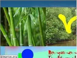 Sites similar to duocthaothucdung.blogspot.com