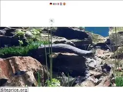 Sites similar to dupla.com