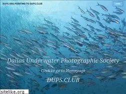 Sites similar to dups.org