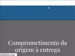 Sites similar to durlicouros.com