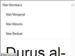 Sites similar to durusarabiyyah.com