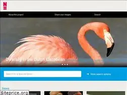 Sites similar to dutchcaribbeanspecies.org