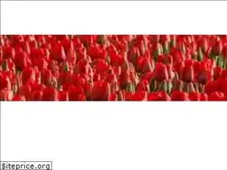 Sites similar to dutchtutor.com