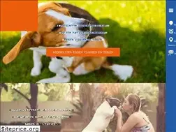 Sites similar to duvoplus.com