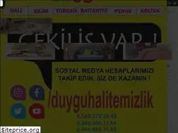 Sites similar to duyguhalitemizleme.com