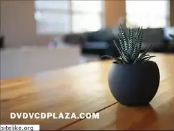 Sites similar to dvdvcdplaza.com