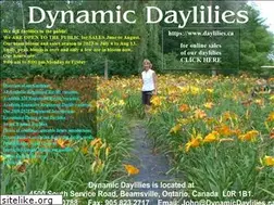 Sites similar to dynamicdaylilies.ca