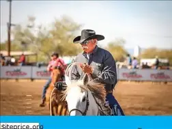 Sites similar to dynamitearena.com