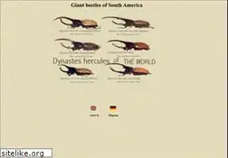 Sites similar to dynastes.de