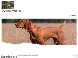 Sites similar to dynatavizslas.com