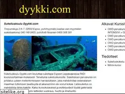 Sites similar to dyykki.com