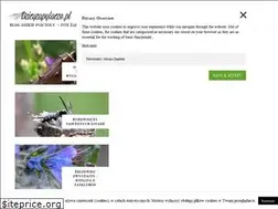 Sites similar to dzicyzapylacze.pl