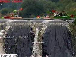 Sites similar to dzikachata.pl