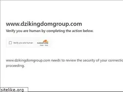 dzikingdomgroup.com